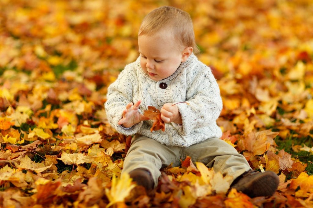 autumn, fall, baby boy-165185.jpg